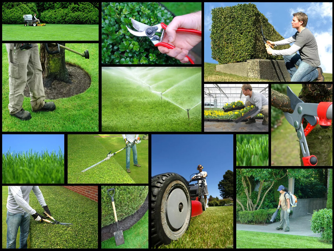 Gardening Services in Perth